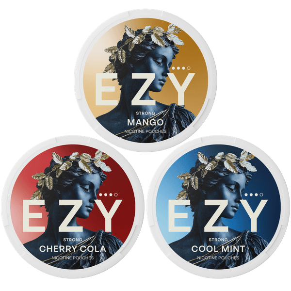 Saszetki nikotynowe EZY EZY Mix Pack Strong